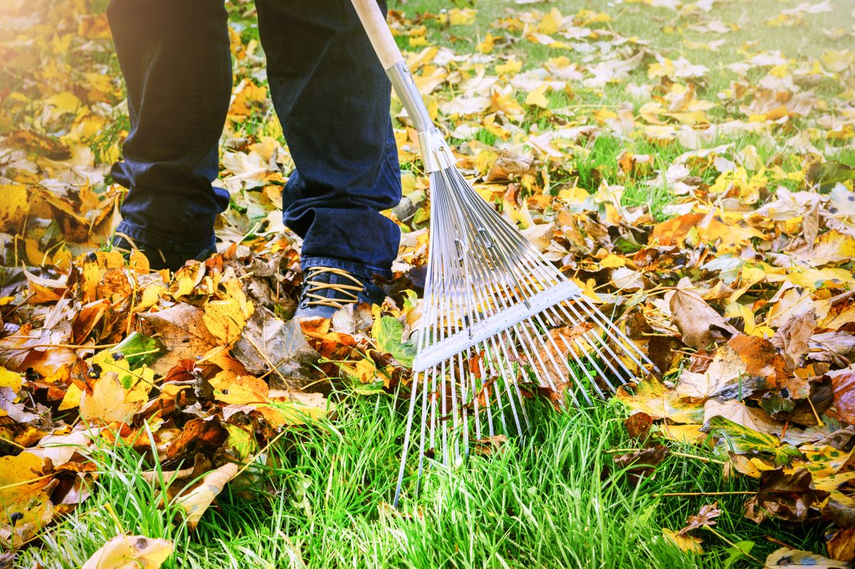 Fall Clean Up for HillyGoat Lawn Care in Provo, UT
