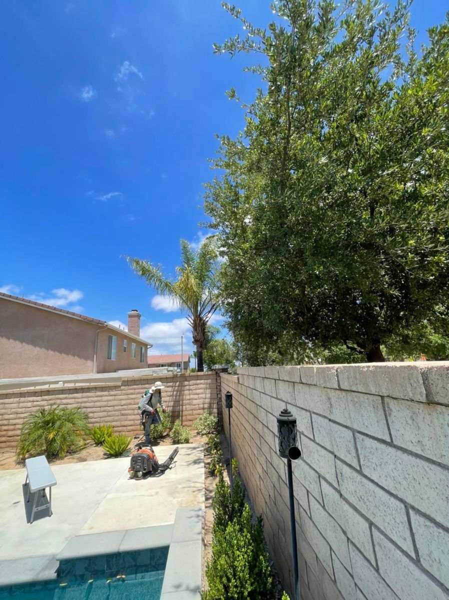 Block Walls for Cortez Landscape & Tree service in Corona, CA