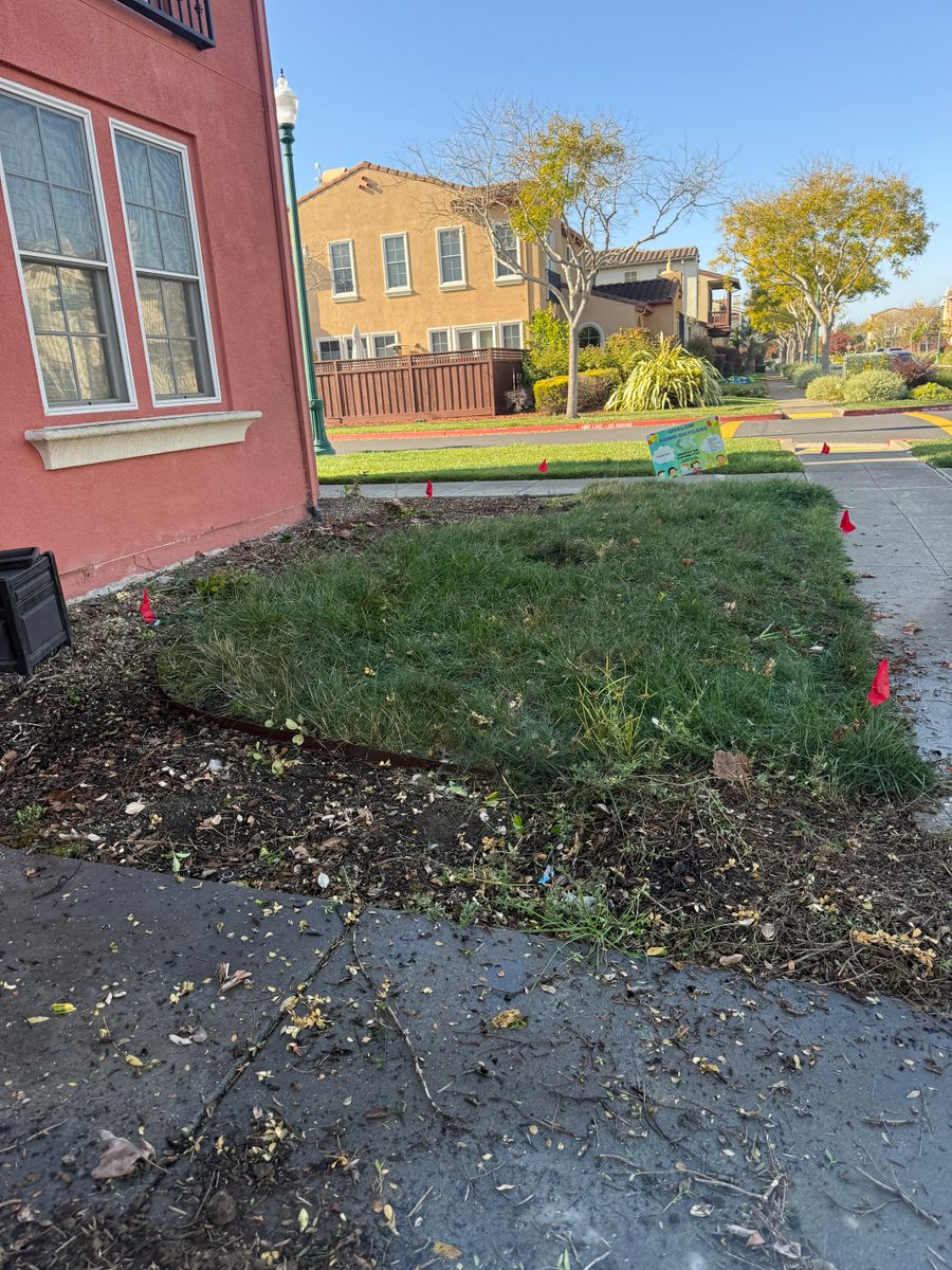 Mulch Installation for CBA Landscaping in Hayward, CA