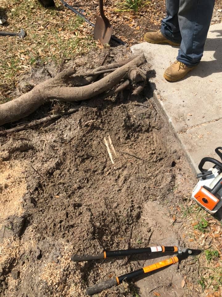 Stump Removal for Perfect MOs Landscaping in Hudson, FL