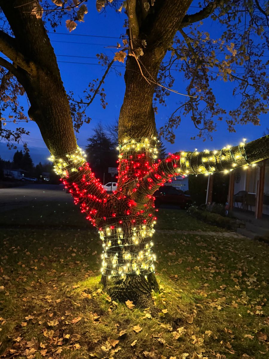 Christmas Lights for Swift Serve in Coeur d'Alene, ID