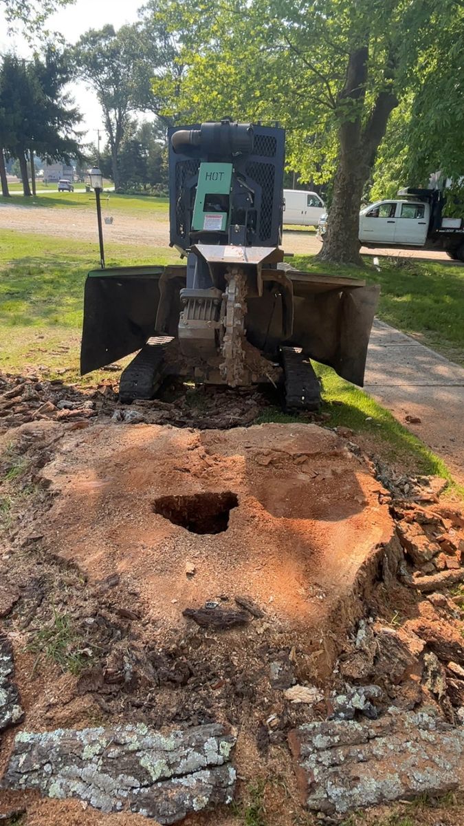 Stump Removal for Etherton’s Tree Service in Quinton, NJ