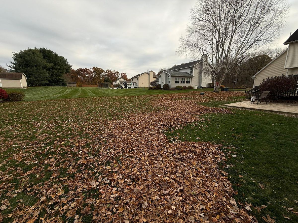 Fall Clean Up for Tactical Stripes Lawn care in Uniontown, OH