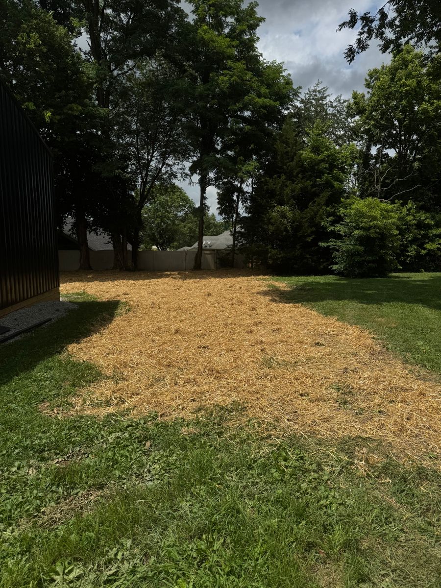 Sod and Seeding for Nicholson Lawn Care in Jeffersonville, IN
