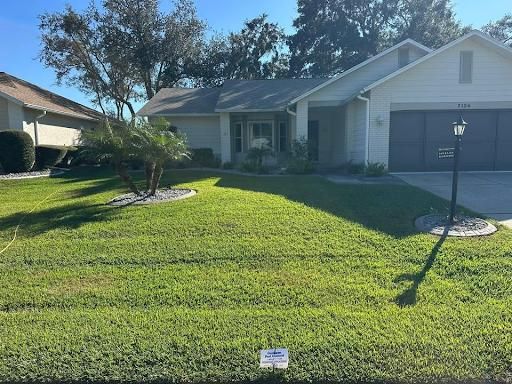 Lawn Spraying for Garrison Pest Control Inc in Hernando County, FL