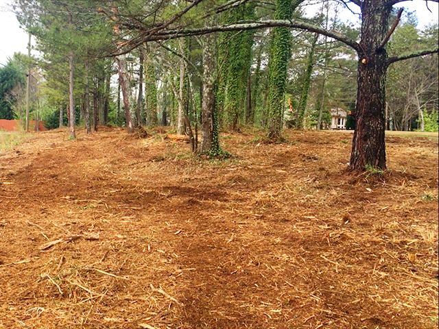 Mulch Installation for Lee Land Maintenance in Savannah, GA