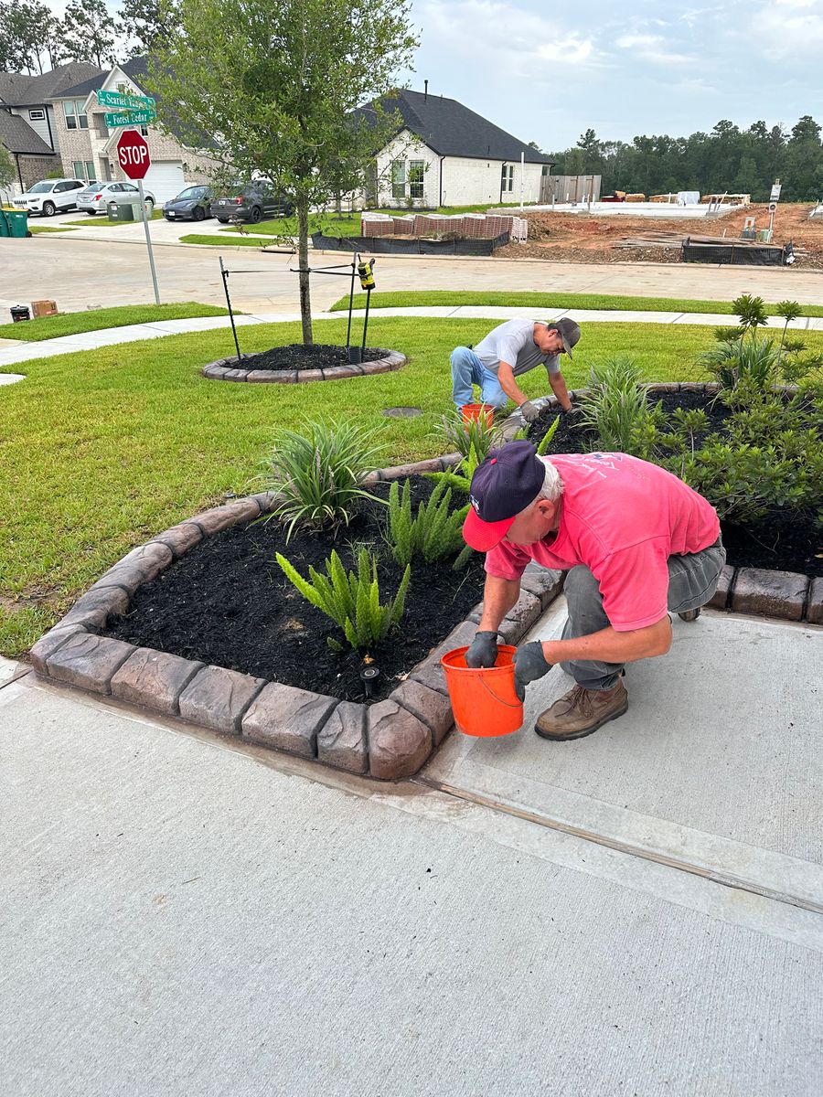 Landscaping for Texas Curb N Borders in Houston, TX