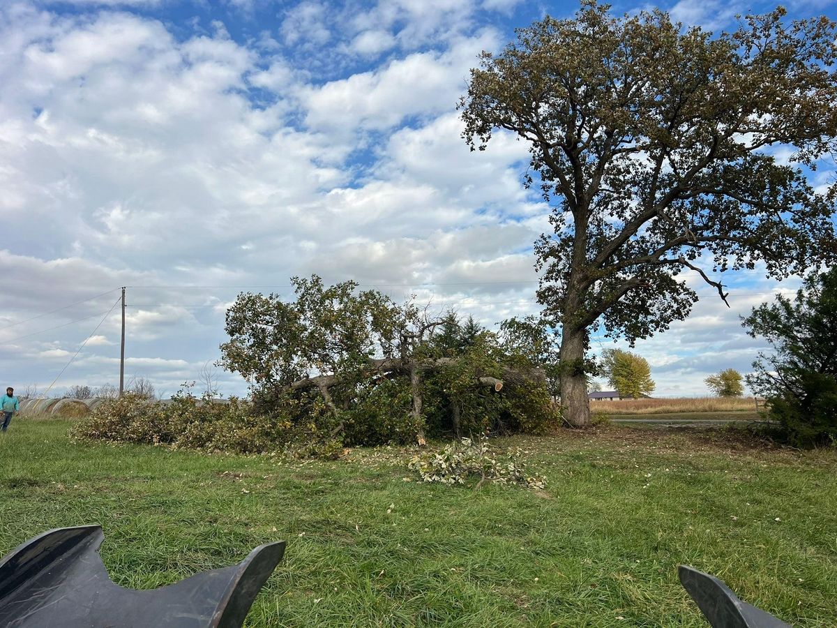 Property Clean Up for Baker Professional Services LLC in Shelbina, MO