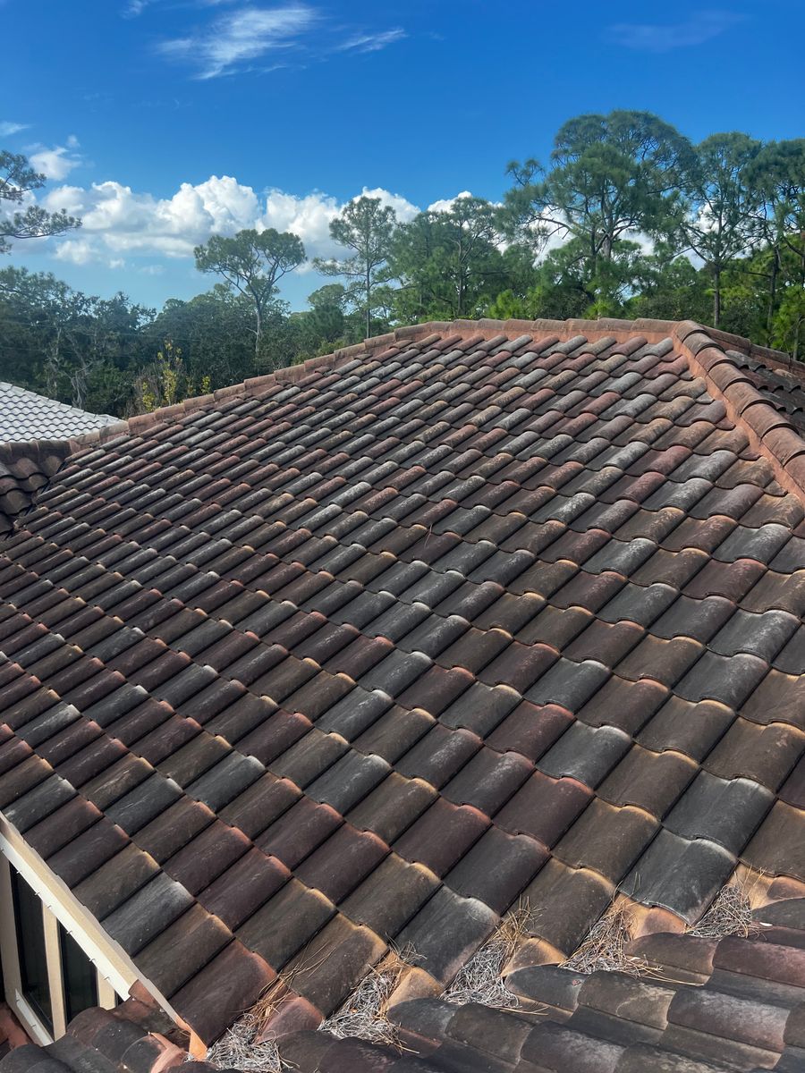 Exterior Cleaning for Barr None Wash Pro in Tampa, FL