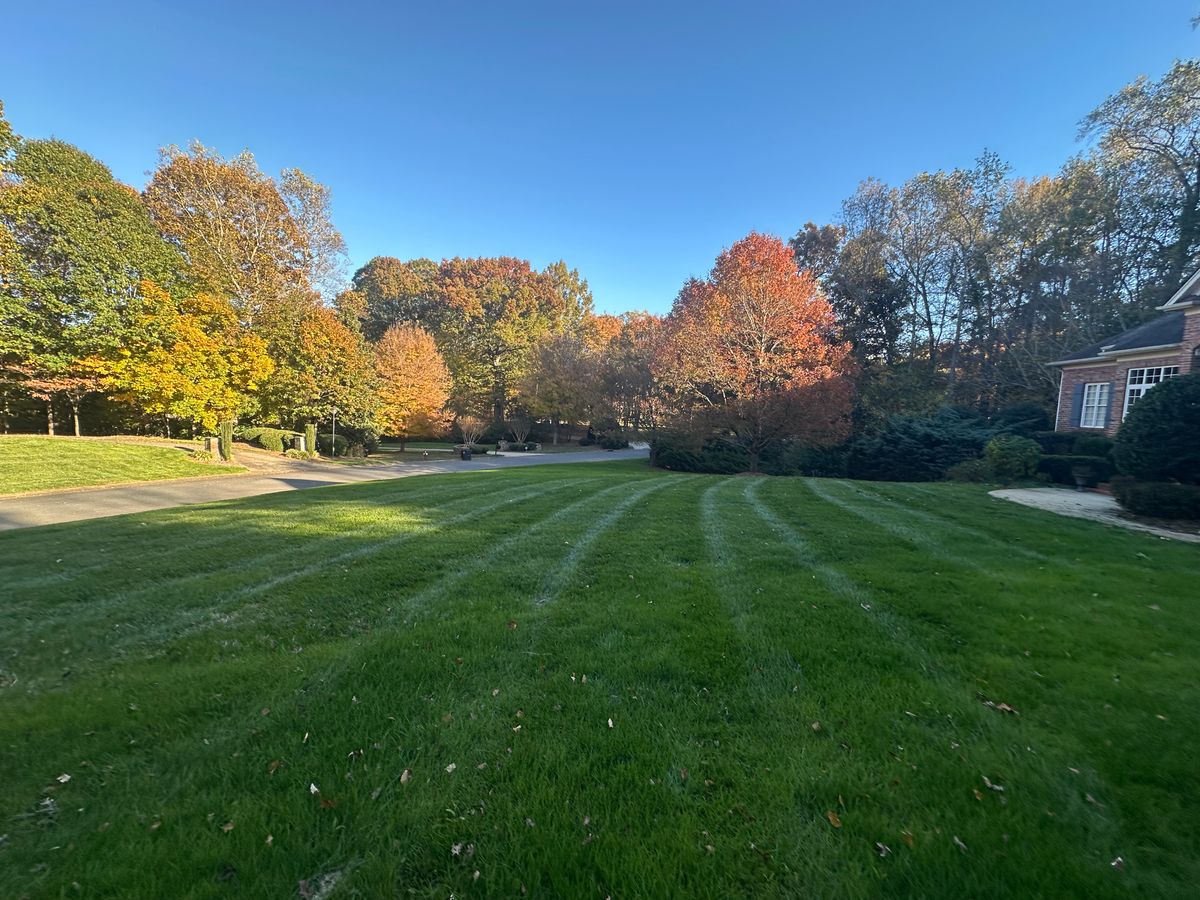 Mowing for Pecina Pine Needles in Monroe, NC
