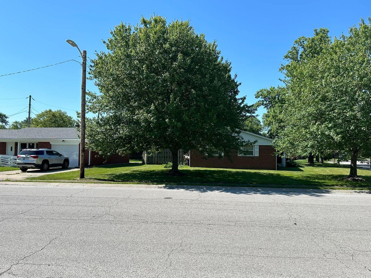 Tree Trimming for Bearforce Lawn Care LLC in Greenfield, IN