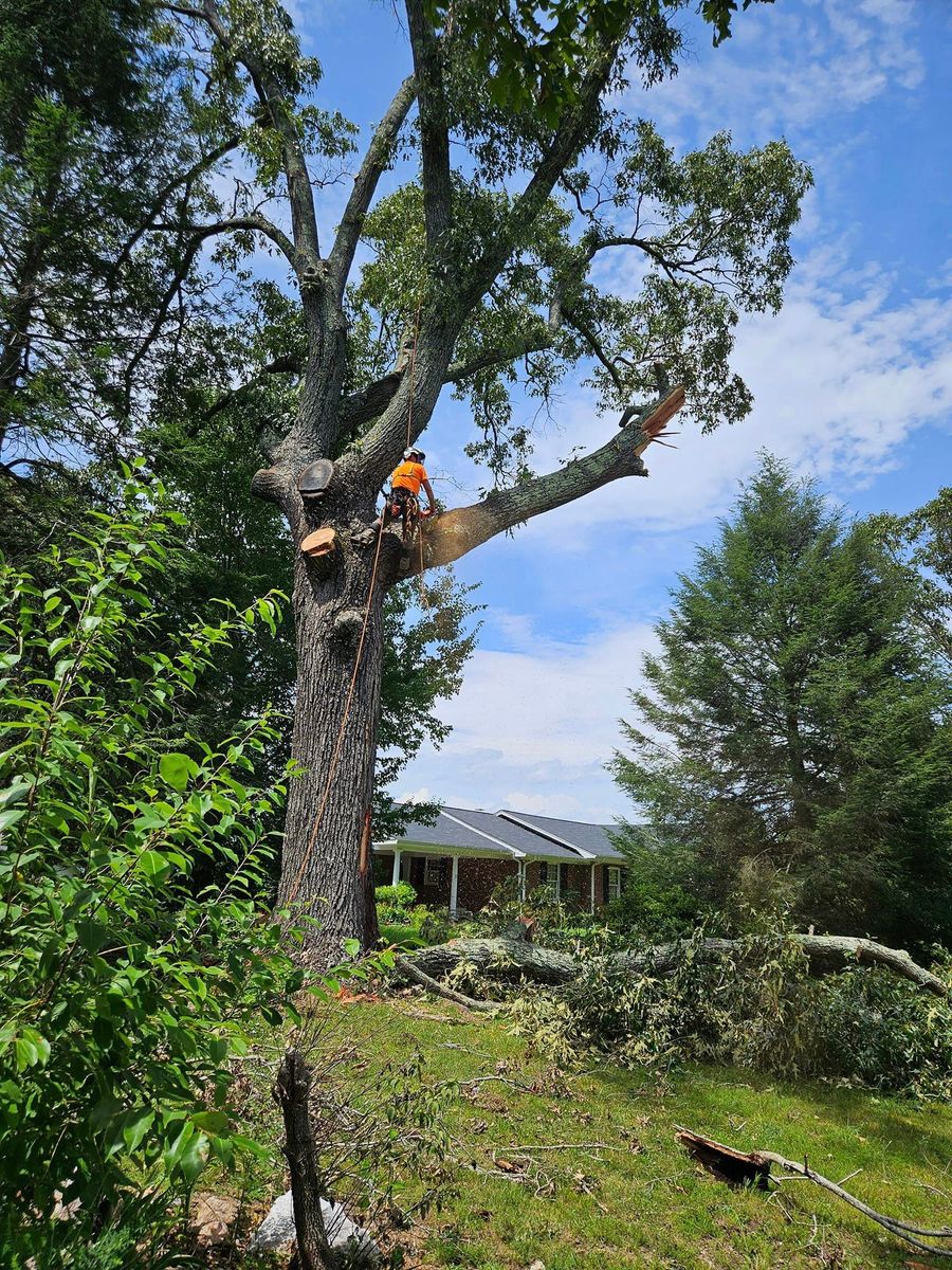 Tree Service for Paradise Landscaping and Tree Service in Greenwood County, SC