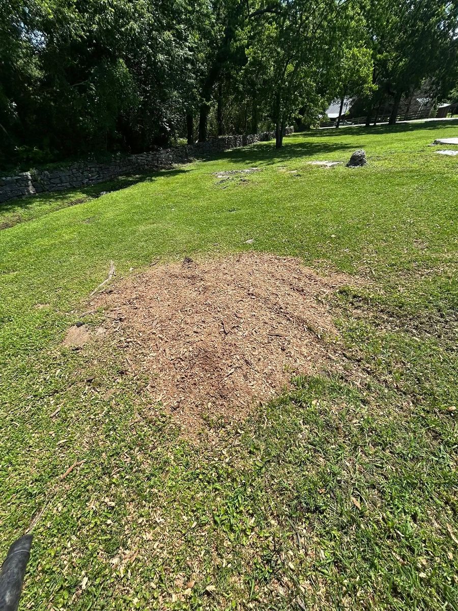 Site Preparation for Lanes Land Management in Fayetteville, TN