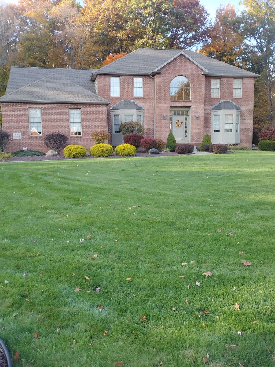 Pressure Washing for Four Seasons Painting LLC  in Youngstown,  OH