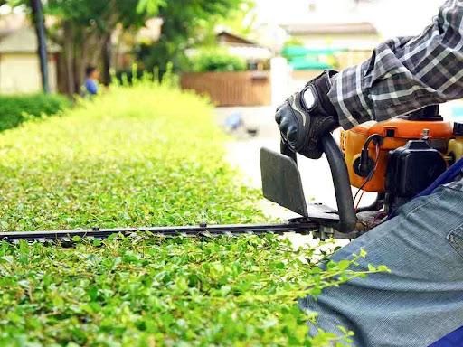 Shrub Trimming for A Better Lawn Service LLC in Bel Air, MD