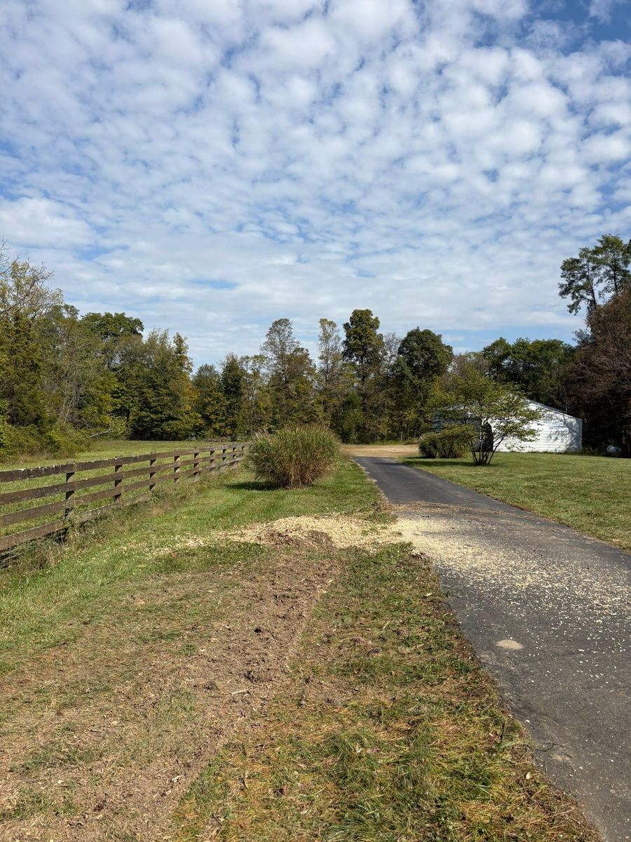 Tree Trimming for Dig-It Tree Company in Mason, OH