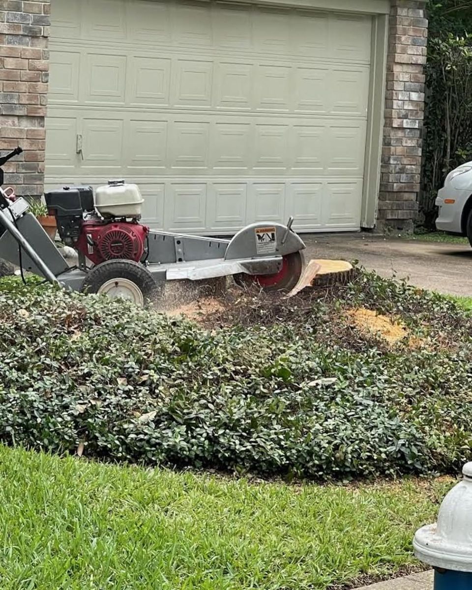 Stump Removal for Exclusive Demolition & Tree Service in Houston, TX