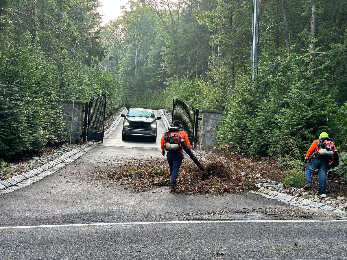 Spring And Fall Clean Up for LGZ Landscaping LLC in Belleville, NJ