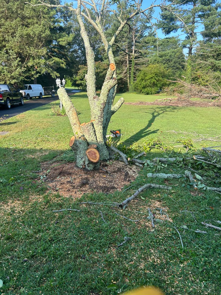 Fall and Spring Clean Up for The Whole 9 Yards Landscape VA in Heathsville, VA