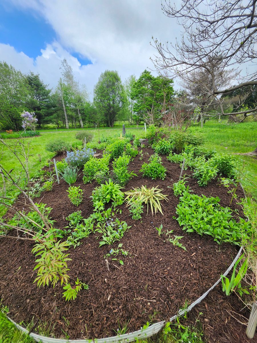 Landscape Installation for Landscape Innovations LLC in Torrington, CT
