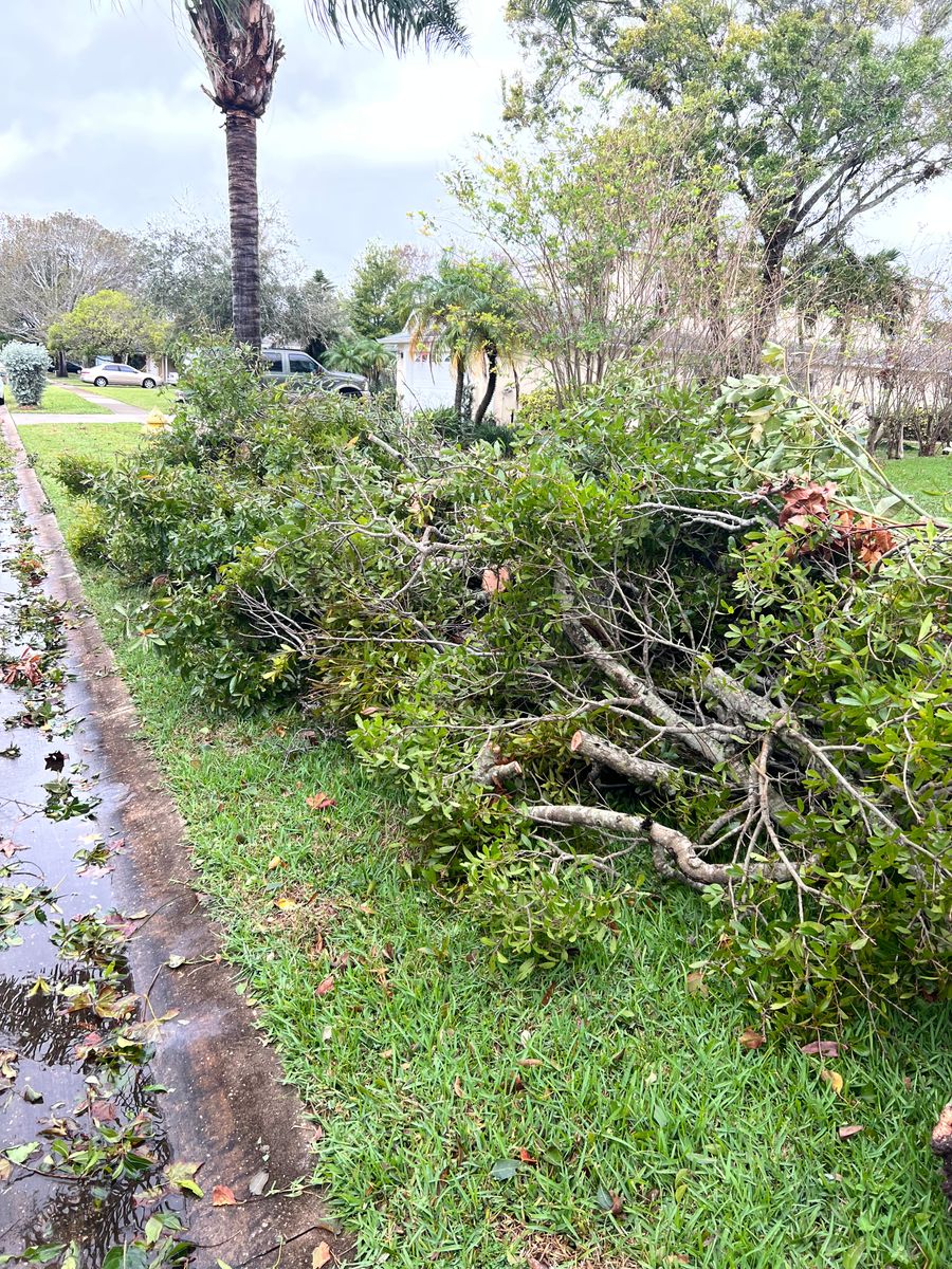 Tree Removal for Space Coast Property Maintenance and Management LLC in Melbourne, FL