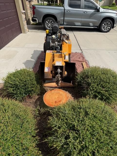 Stump Removal for Greene Acres Stump Grinding in Plant City, FL