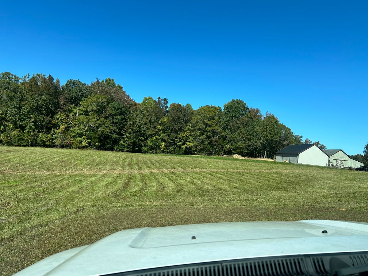 Bush Hog & Tree Work for Gallimore’s Lawn Care in Thomasville, NC