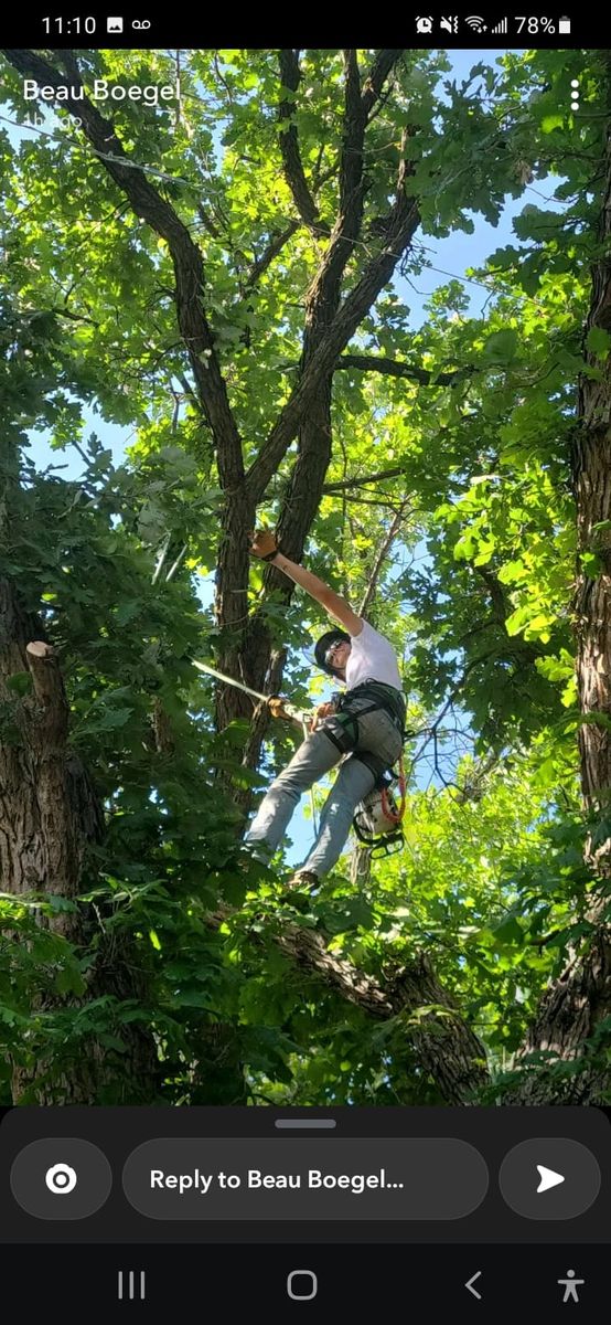 Tree Trimming for SMH Tree Service in Atwood, KS