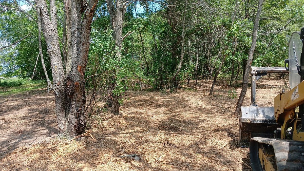 Stump Grinding for Willing Trucking & Excavating in Evansville, WI