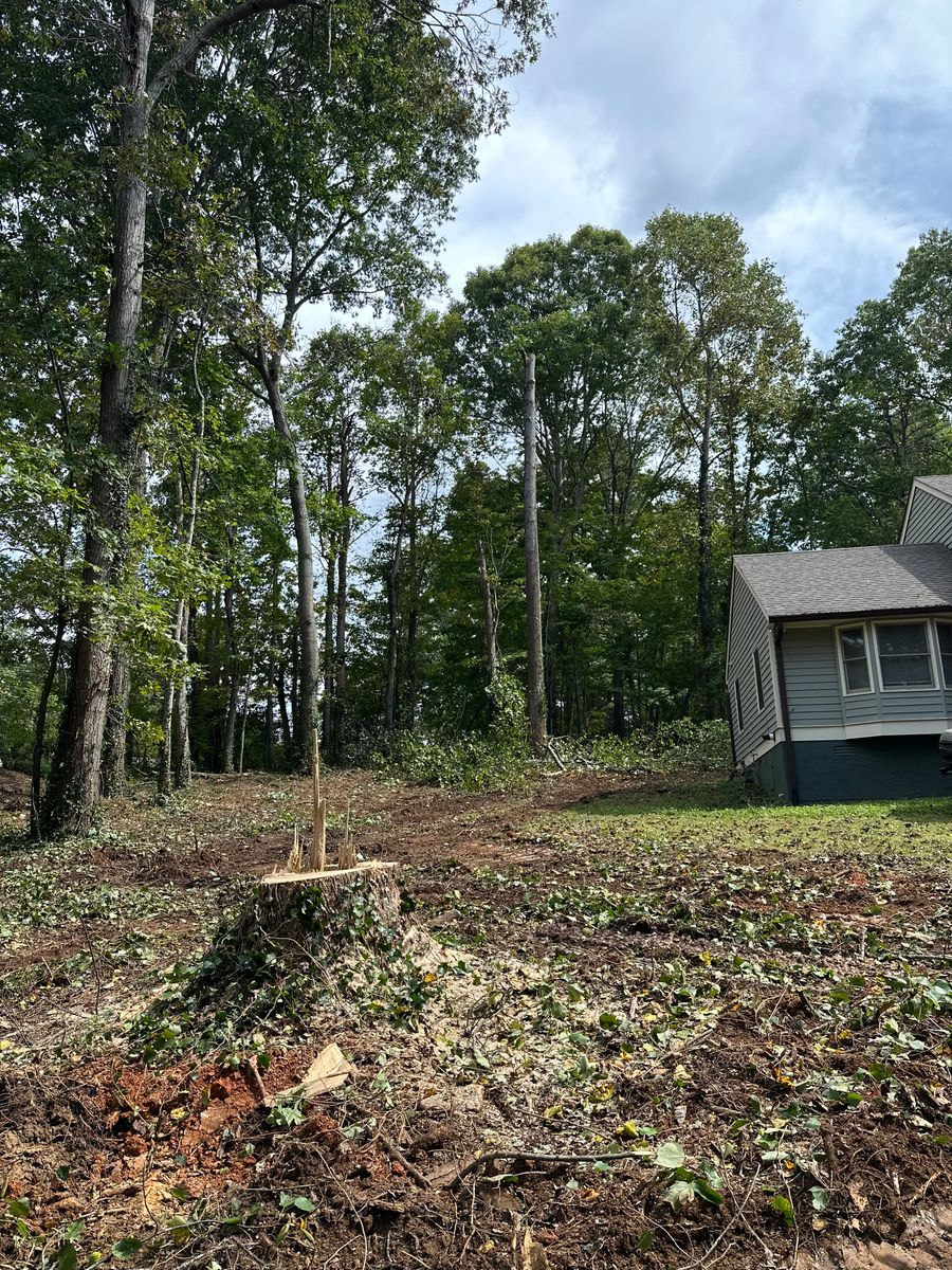 Site Preparation for Stines and Company  in Rutherfordton, NC