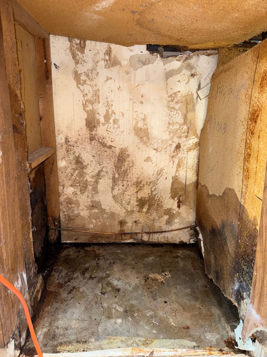 Mold Remediation for N&D Restoration Services: When Disaster Strikes, We Come In in Cape Coral,  FL
