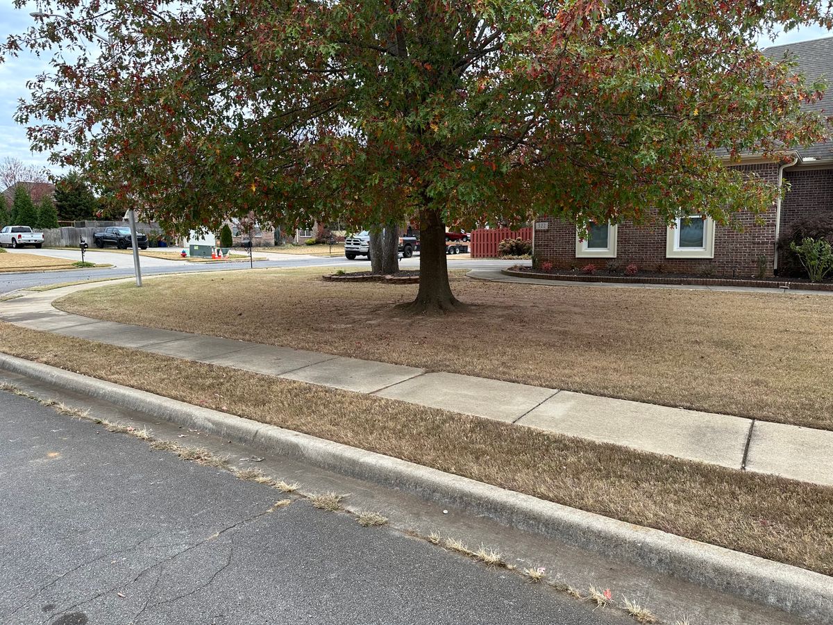 Leaf clean up for Vickers Lawns in Ardmore, Al