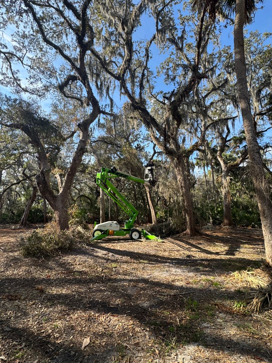  Site Development  for Heverly Land Solutions in Winter Haven, FL