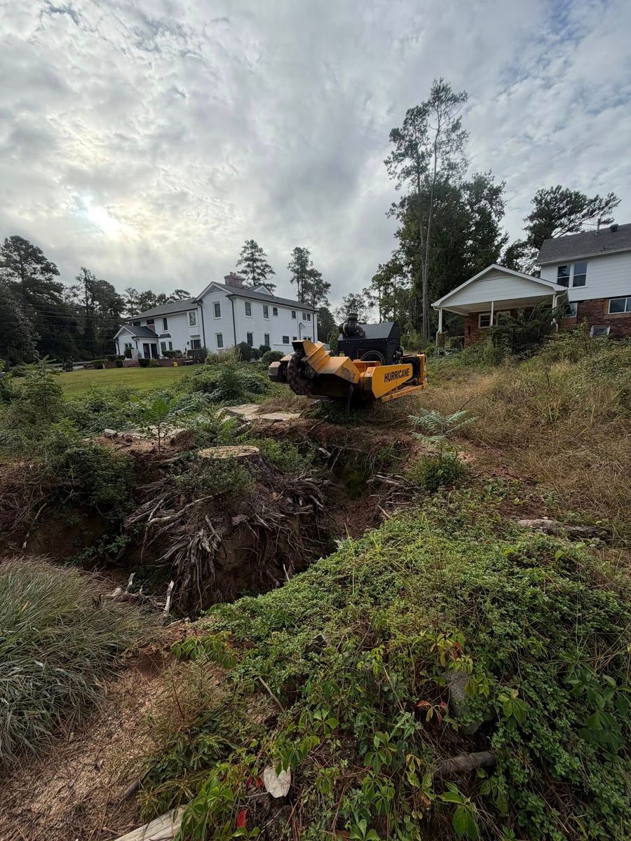Stump Excavation for Dozier Stump Grinding in Augusta, GA