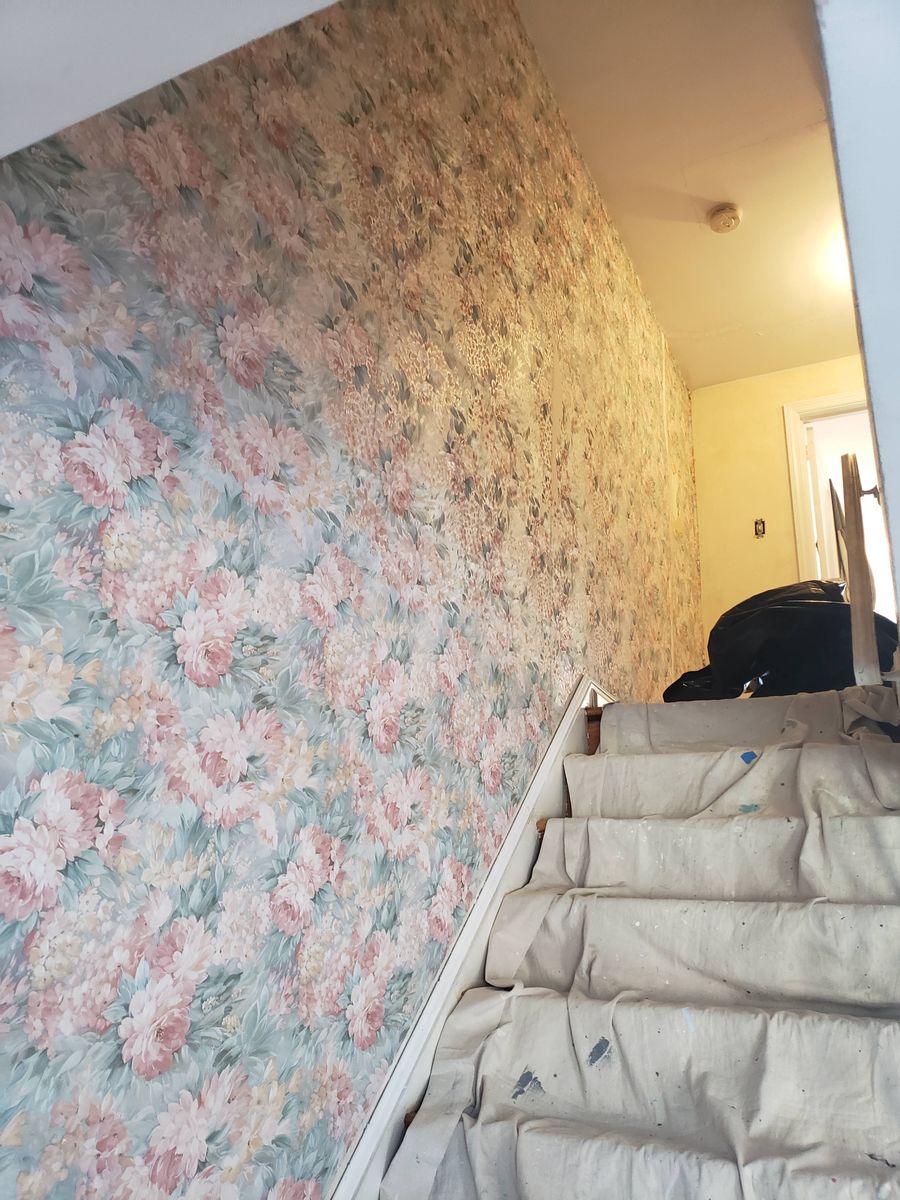 Wallpaper Removal for Freshlook Painting LLC in Springfield, PA
