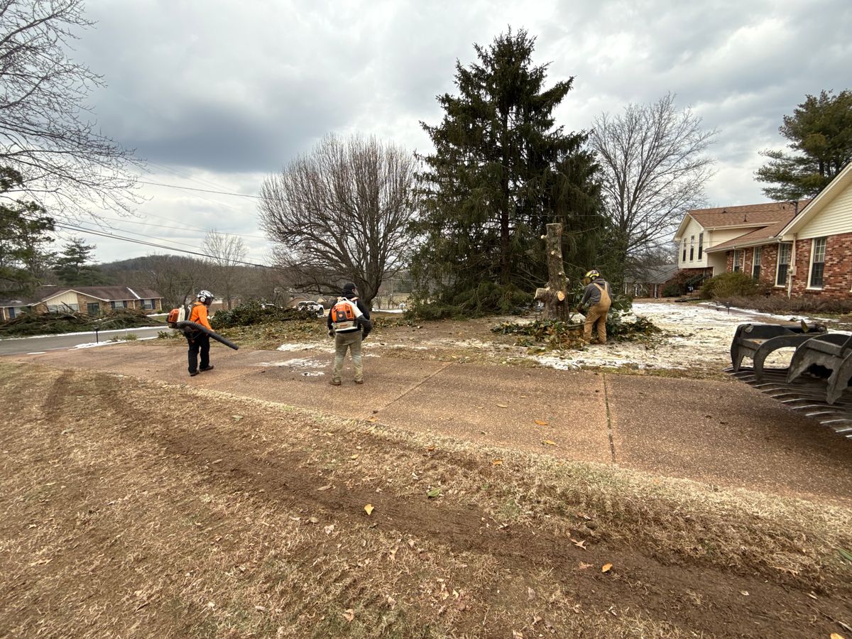 Tree Removal for Lucky’s Tree Removal and Landscape Services in Clinton, TN