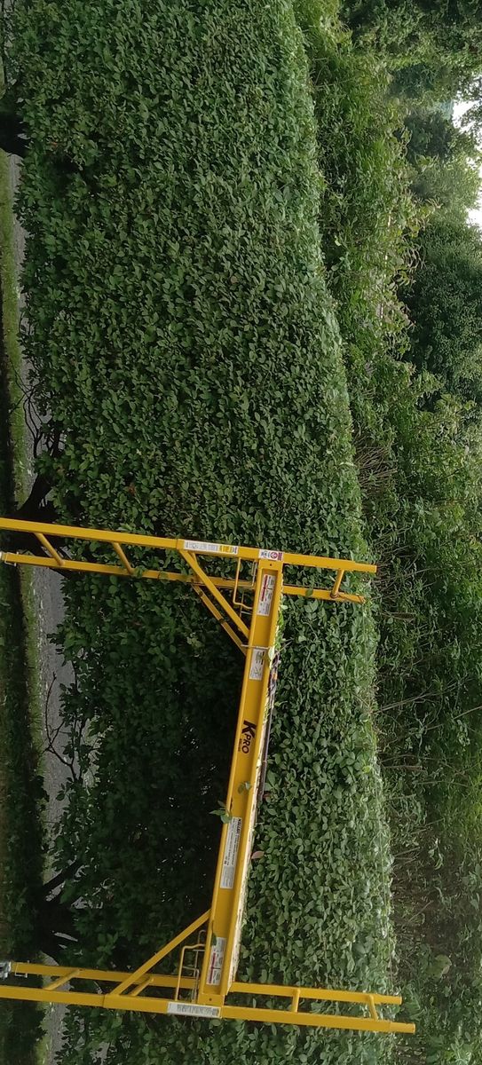 Shrub Trimming for Bakers Landscape & Design in East Liverpool, OH