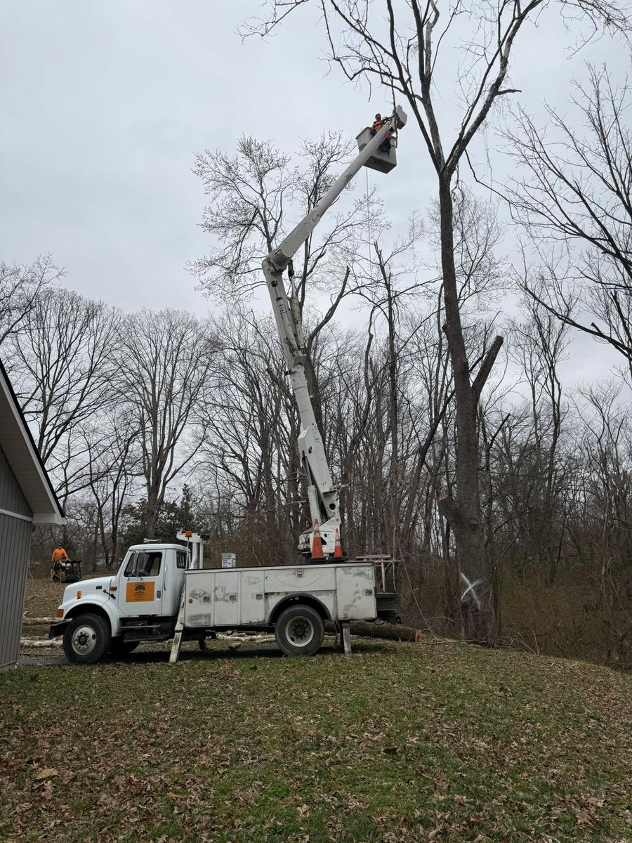 Tree Removal for Ross Family Tree Service LLC  in Hohenwald, TN