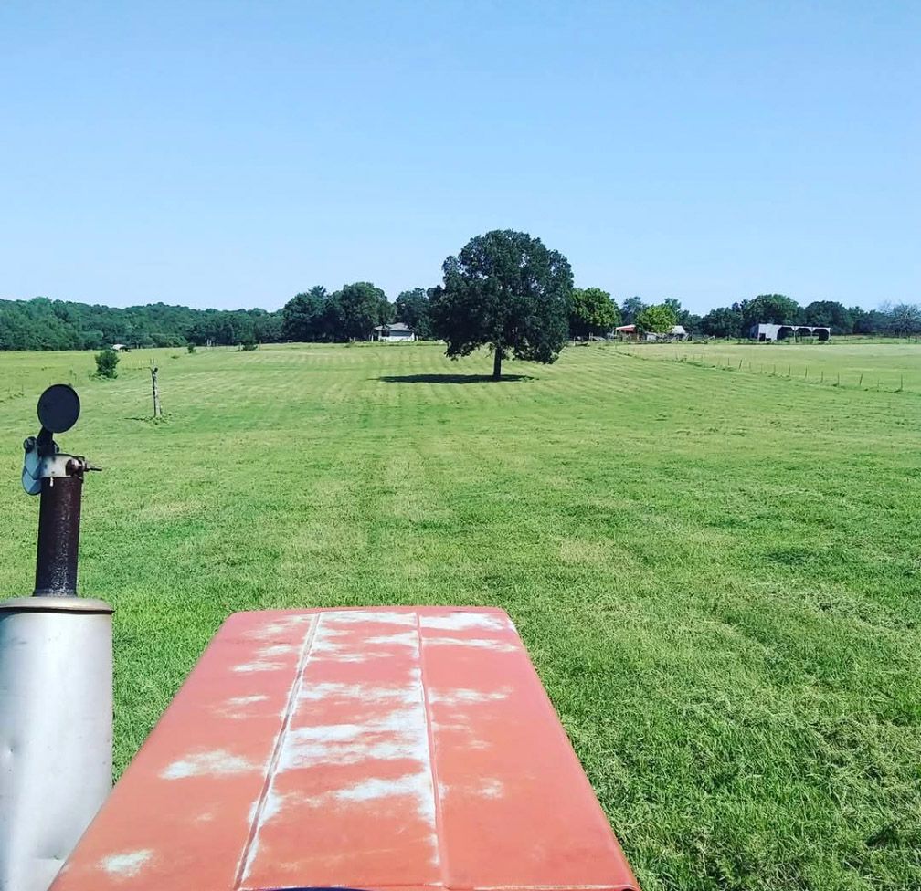 Commercial Brush Hogging for Foyil Bobcat Work in Guthrie, OK