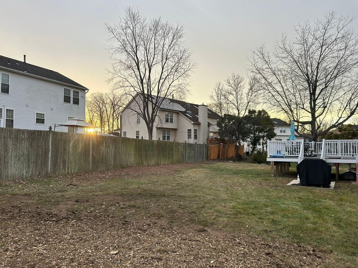Tree Trimming for Hingewood Tree Service in Salem, NJ