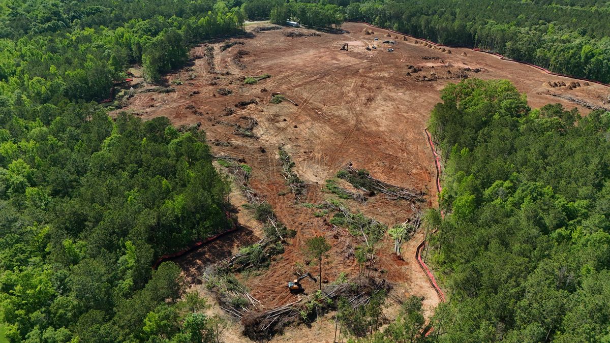 Land Clearing for Bryant's Land Services in Forsyth, GA