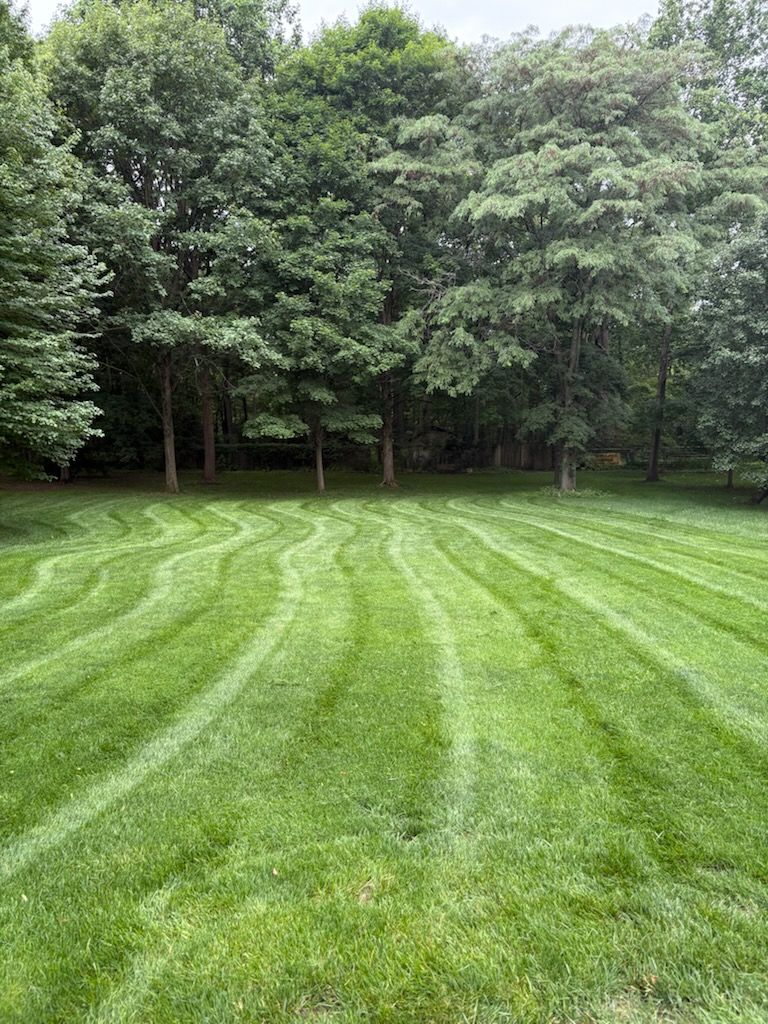 Mowing for Bearforce Lawn Care LLC in Greenfield, IN