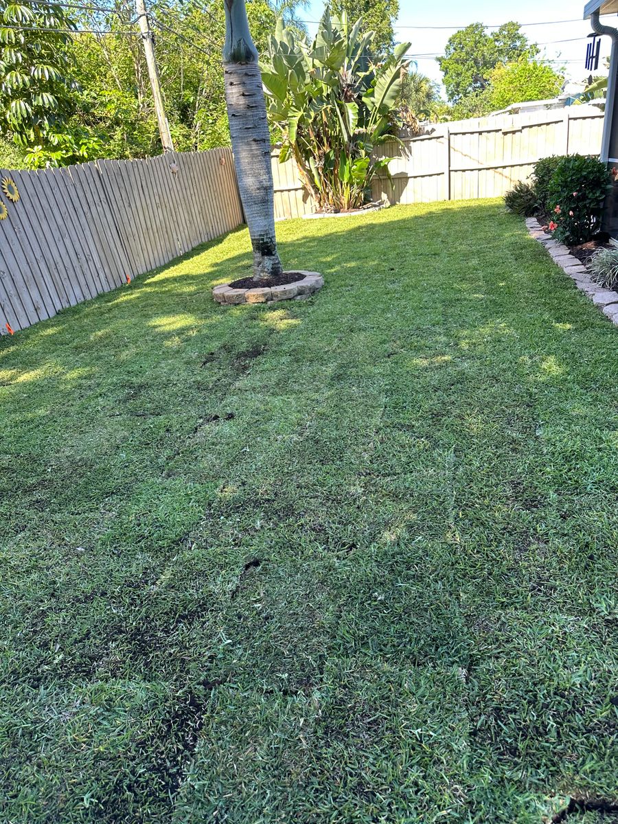 Sod Installation for Gulf Bay Sod in Clearwater, FL