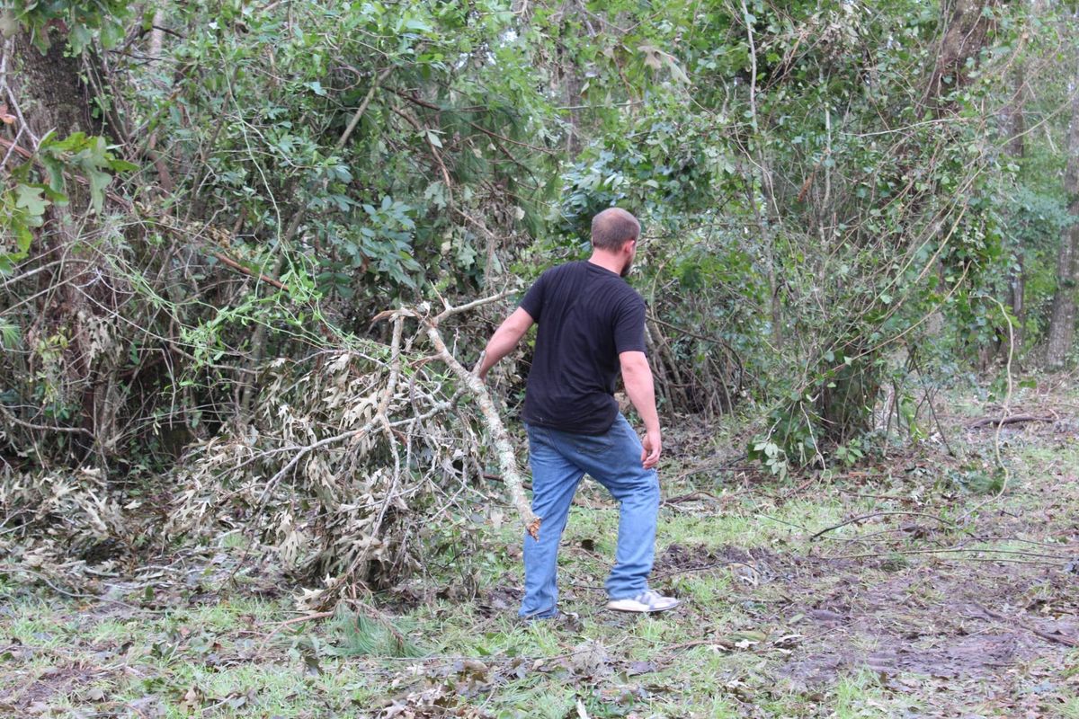 Hurricane Disaster Relief for American Tree Masters in Alvin, TX