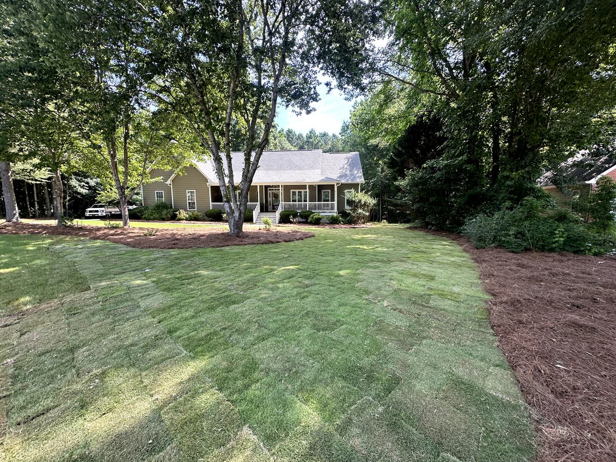 Sod Installation for Dirt Pro Land Solutions in Fayetteville, GA