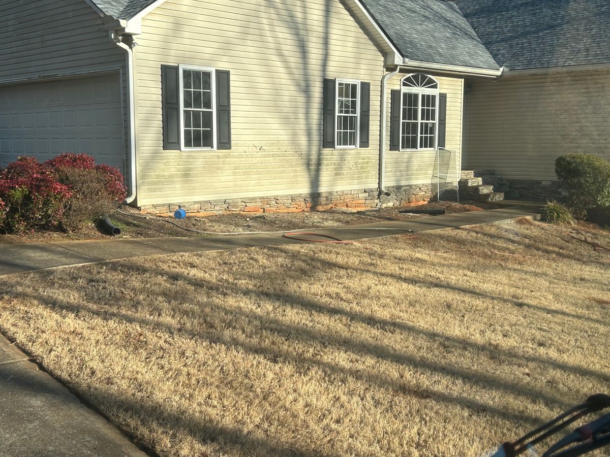 Professional Bush & Tree Trimming Services for GA Lawn Care Pros in Jefferson, GA