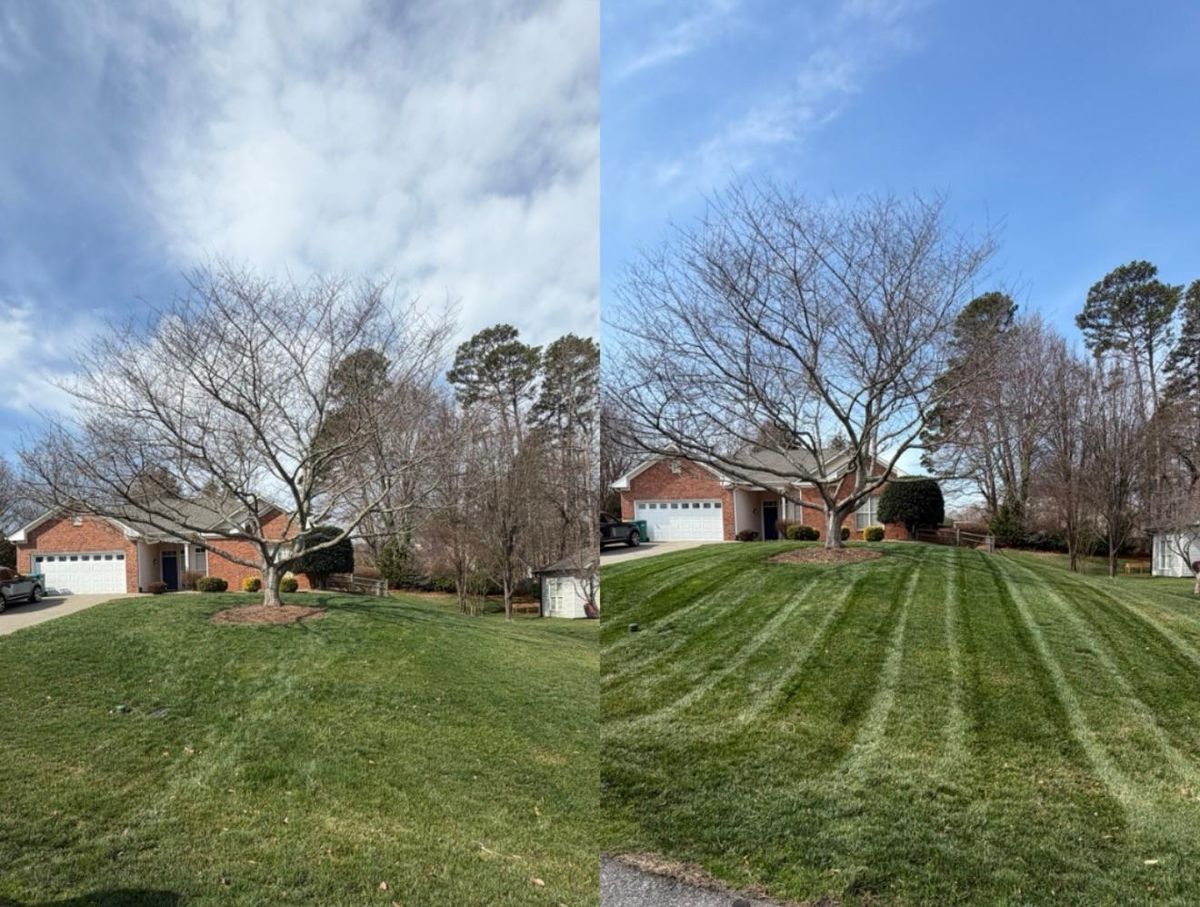 Aeration for Holloway Yard Company in Greensboro, NC