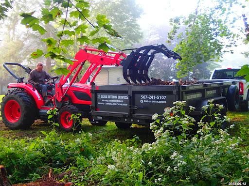 Downed Tree and Brush Cleanup for Seals Outdoor Services in Perrysville, OH
