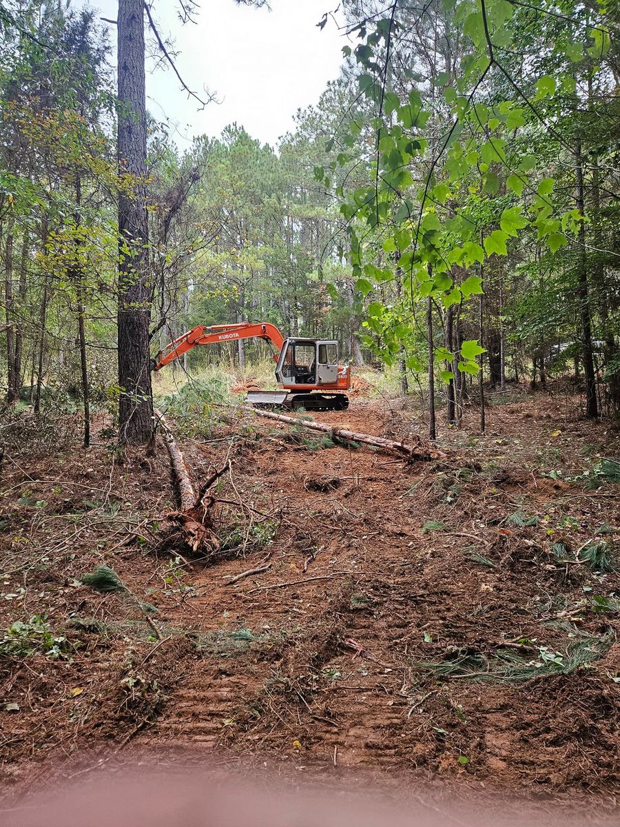 Stump Removal for GSG Services in Comer, GA