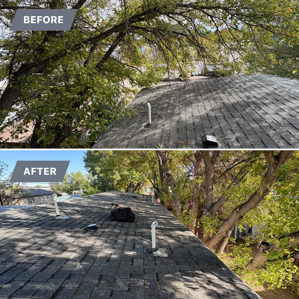 Tree Trimming for Elevated Tree Care in Gillette, WY